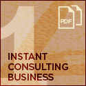 instant consulting business